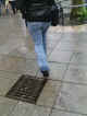 jg-dsc00142.jpg (619315 Byte)