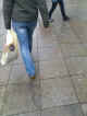 jg-dsc00157.jpg (611975 Byte)