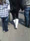 jg-dsc00182.jpg (618099 Byte)