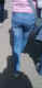 jg-dsc00193.jpg (356836 Byte)