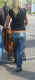 jg-dsc00234.jpg (155330 Byte)