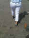 jg-dsc00253.jpg (621422 Byte)