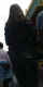 jg-dsc00315.jpg (213019 Byte)
