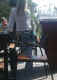 jg-dsc00389.jpg (223113 Byte)