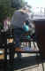 jg-dsc00390.jpg (214121 Byte)