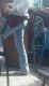 jg-dsc00399.jpg (111223 Byte)