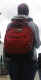 jg-dsc00431.jpg (209679 Byte)