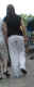 jg-dsc00461.jpg (76954 Byte)