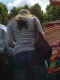 jg-dsc00513.jpg (347704 Byte)