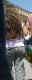jg-dsc00560.jpg (168193 Byte)