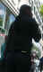 jg-dsc00570a.jpg (186520 Byte)
