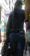 jg-dsc00571.jpg (302445 Byte)