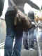 jg-dsc00586.jpg (521665 Byte)