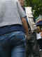 jg-dsc00593.jpg (527137 Byte)