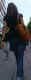 jg-dsc00677.jpg (158876 Byte)