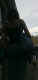 jg-dsc00683.jpg (120461 Byte)