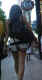 jg-dsc00805.jpg (147466 Byte)