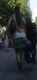 jg-dsc00865.jpg (77489 Byte)