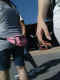 jg-dsc00956.jpg (492755 Byte)