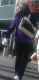 jg-dsc01066_3.jpg (222740 Byte)