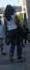 jg-dsc01100.jpg (29875 Byte)