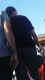 jg-dsc01199.jpg (115994 Byte)