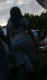 jg-dsc01225.jpg (80999 Byte)