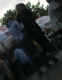 jg-dsc01232.jpg (141316 Byte)