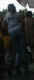jg-dsc01240.jpg (76840 Byte)