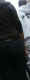 jg-dsc01330.jpg (175171 Byte)