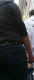 jg-dsc01331.jpg (218844 Byte)