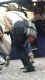jg-dsc01343.jpg (88907 Byte)