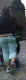 jg-dsc01359.jpg (95129 Byte)