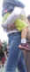 jg-dsc01371.jpg (267525 Byte)