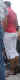 jg-dsc01390.2.jpg (129191 Byte)