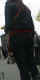 jg-dsc01400.2.jpg (216261 Byte)