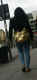 jg-dsc01441.jpg (98755 Byte)