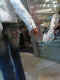 jg-dsc01447.jpg (458628 Byte)