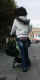 jg-dsc01531.jpg (90398 Byte)