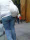jg-dsc01541.jpg (456890 Byte)