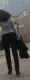 jg-dsc01560.jpg (91076 Byte)