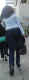 jg-dsc01562.jpg (135683 Byte)