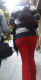 jg-dsc01568.jpg (315433 Byte)