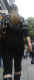 jg-dsc01627.jpg (242637 Byte)
