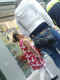 jg-dsc01692.jpg (511413 Byte)