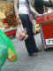 jg-dsc01722.jpg (615246 Byte)