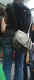 jg-dsc01725.jpg (302168 Byte)
