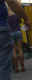jg-dsc01828_2.jpg (25718 Byte)