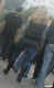 jg-dsc01830.jpg (24951 Byte)