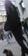 jg-dsc01868.jpg (283084 Byte)